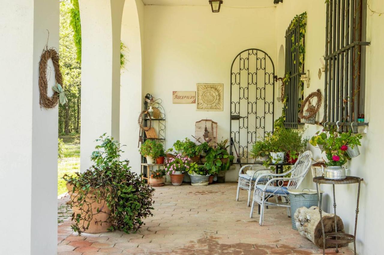 Villa Albertina Montespertoli Extérieur photo